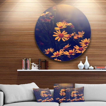 Vintage White Wild Flowers and Bee - Floral Metal Circle Wall Art